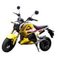 Ce RoHS Approved 1000W Racing Electric Sport Motorcycle